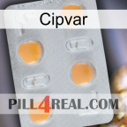 Cipvar 24
